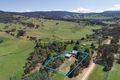 Property photo of 389 Buttercup Road Merrijig VIC 3723