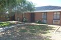 Property photo of 1/68 Hare Street Echuca VIC 3564