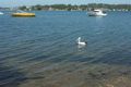 Property photo of 104 Sealand Road Fishing Point NSW 2283