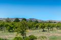 Property photo of 56A Barossa Valley Way Tanunda SA 5352