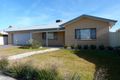 Property photo of 12 Ironbark Drive Benalla VIC 3672