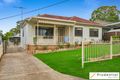 Property photo of 30 Raymond Avenue Campbelltown NSW 2560