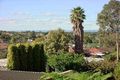 Property photo of 227 McDonald Street Joondanna WA 6060