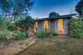 Property photo of 19 New Street Boronia VIC 3155