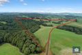 Property photo of 110 Dehnerts Track Beech Forest VIC 3237