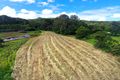 Property photo of 235 Paynters Creek Road Rosemount QLD 4560