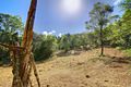 Property photo of 235 Paynters Creek Road Rosemount QLD 4560