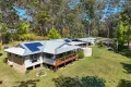 Property photo of 31 Daley Place South Kempsey NSW 2440