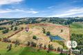 Property photo of 944 Thomson Brook Road Thomson Brook WA 6239