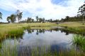Property photo of 61 Grenenger Road Greigs Flat NSW 2549