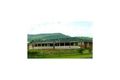 Property photo of 1 Kilgallin Close Scone NSW 2337