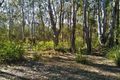 Property photo of 44 Beh Road Cressbrook Creek QLD 4355
