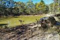 Property photo of 44 Beh Road Cressbrook Creek QLD 4355