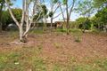 Property photo of 31 Jane Street Palmwoods QLD 4555