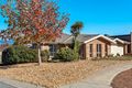 Property photo of 35 Branson Street Dunlop ACT 2615