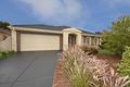 Property photo of 16 Watt Avenue Oak Park VIC 3046