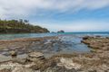 Property photo of 339 Pirates Bay Drive Eaglehawk Neck TAS 7179