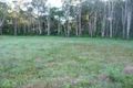 Property photo of 39 Eudlo Flats Road Diddillibah QLD 4559