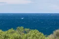 Property photo of 22 Rennies Beach Close Ulladulla NSW 2539
