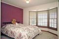 Property photo of 54 Pine Avenue Novar Gardens SA 5040