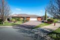 Property photo of 6 Corriedale Court Shepparton VIC 3630