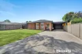 Property photo of 77 Albert Road Hallam VIC 3803