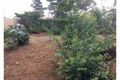 Property photo of 14 Rodriguez Avenue Blackheath NSW 2785