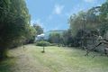 Property photo of 112 Scenic Highway Terrigal NSW 2260