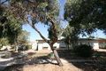 Property photo of 64 Shakespeare Avenue Plympton Park SA 5038