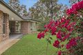 Property photo of 364 Bielby Road Kenmore Hills QLD 4069