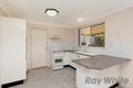 Property photo of 14 Peppertree Circuit Toronto NSW 2283