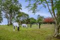 Property photo of 95 Single Ridge Road The Slopes NSW 2754