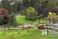 Property photo of 4 Ladd Square Emerald VIC 3782