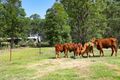 Property photo of 30 Macdonald Road Palmwoods QLD 4555