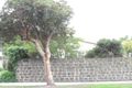 Property photo of 3/55 Royal Avenue Sandringham VIC 3191