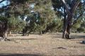 Property photo of 106 Newnham Road Lake Clifton WA 6215