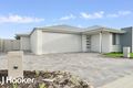 Property photo of 3 Elderflower Way Alkimos WA 6038