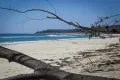 Property photo of 3 Stradbroke Place Dunwich QLD 4183
