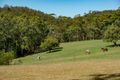 Property photo of 181 Brandenburg Road Mooloolah Valley QLD 4553