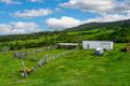 Property photo of 771 Babyl Creek Road Babyl Creek NSW 2470