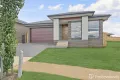 Property photo of 36 Hinton Loop Oran Park NSW 2570