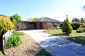 Property photo of 15 Nardoo Court Thurgoona NSW 2640