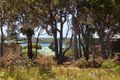 Property photo of 13 Hurford Place Augusta WA 6290