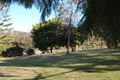 Property photo of 268 Hotham Creek Road Willow Vale QLD 4209