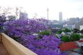 Property photo of 6/1 Thomson Street Darlinghurst NSW 2010