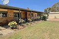 Property photo of 13 Harkin Court Alma VIC 3465