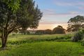 Property photo of 49 Fig Tree Hill Drive Lennox Head NSW 2478