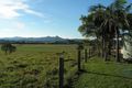 Property photo of 1 Dingo Lane Myocum NSW 2481