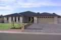 Property photo of 9 Robin Avenue Nuriootpa SA 5355