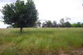 Property photo of 95 Balfours Road Willow Grove VIC 3825